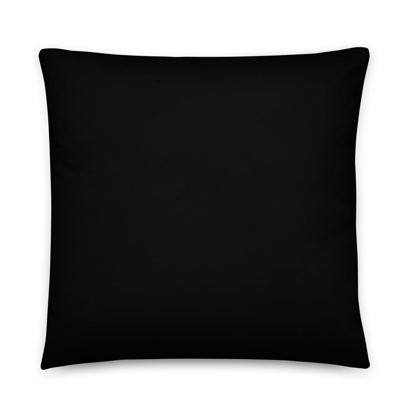 Other Half Decorative Pillow