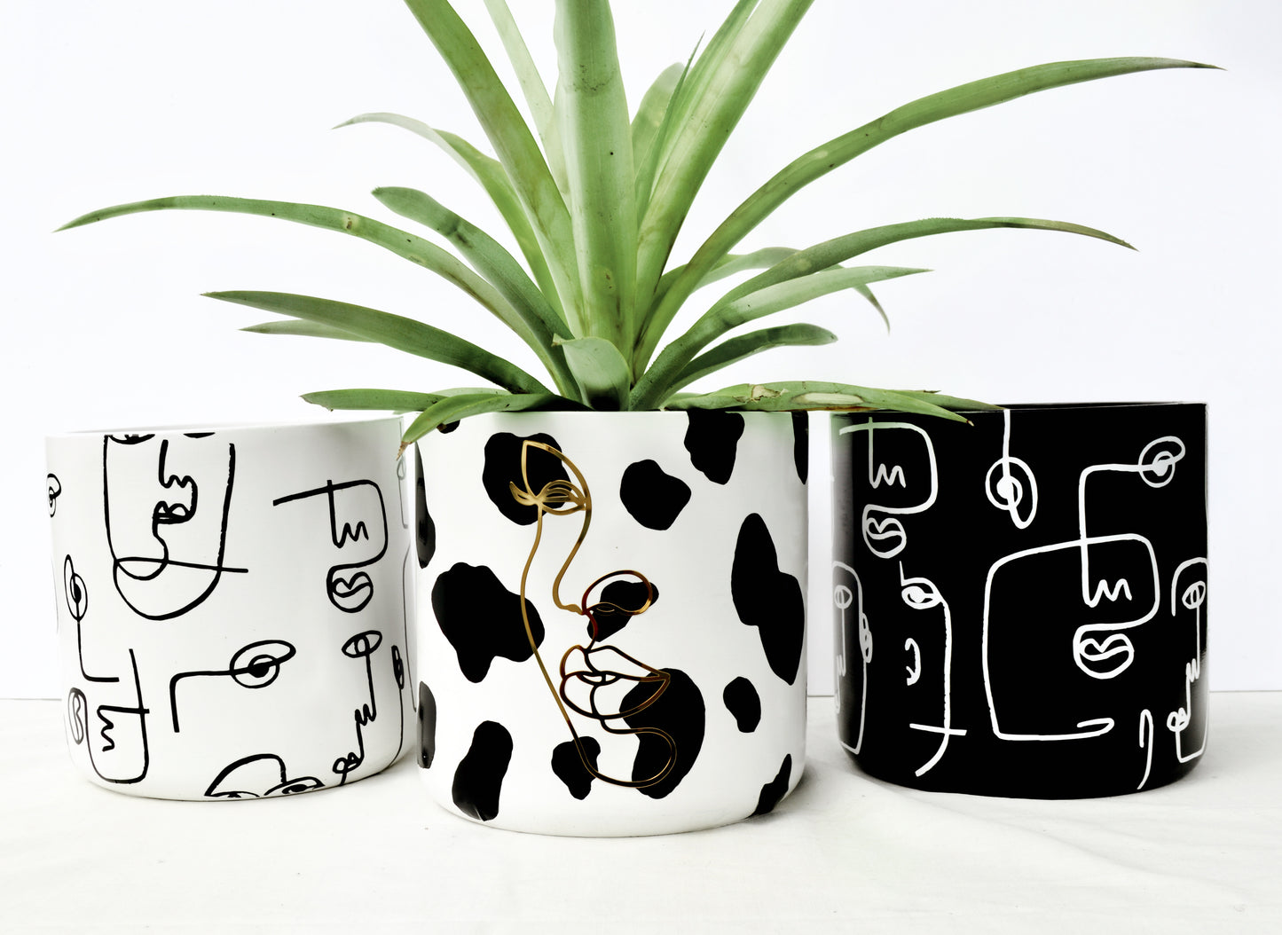 Moo Moo Cow Print Planter