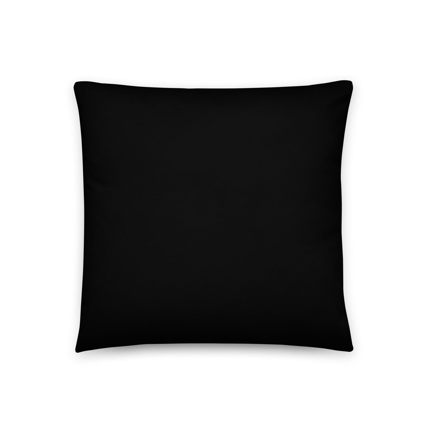 Other Half Decorative Pillow